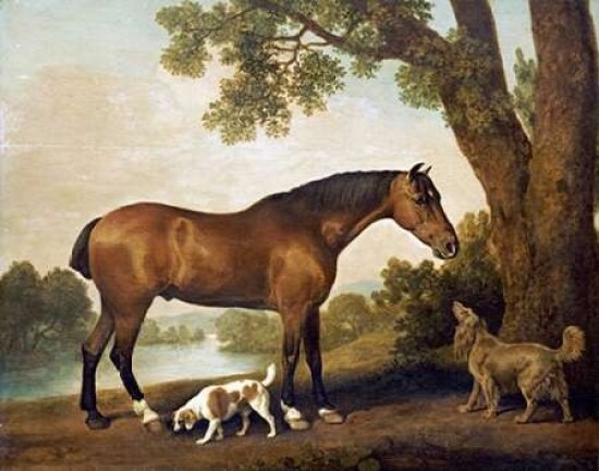 A Bay Hunter a Springer Spaniel and a Sussex Spaniel 1782 Poster Print by  George Stubbs - Item # VARPDX265594