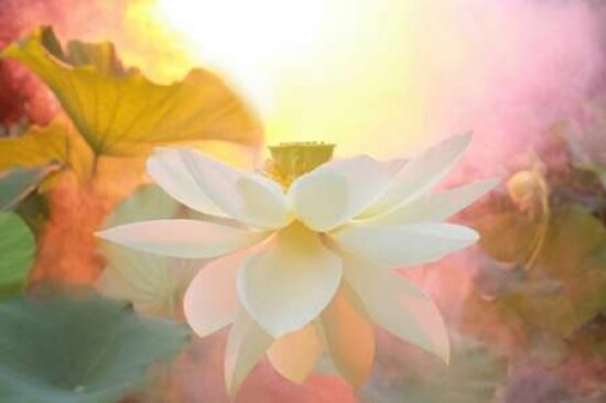 Arise Poster Print by Bahman Farzad - Item # VARPDXF468D