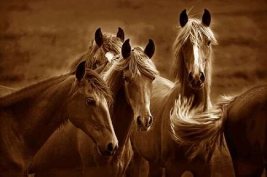 Bad Girls Poster Print by Tony Stromberg - Item # VARPDXS1451D