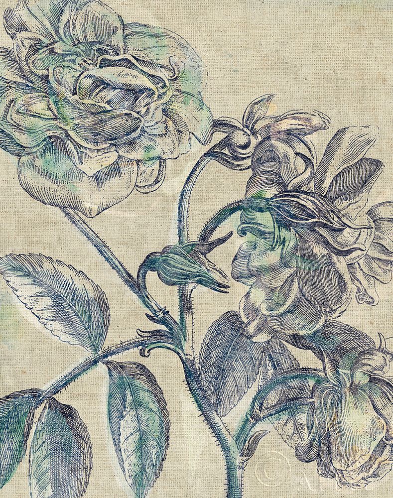 Belle Fleur I Crop Linen Poster Print by Sue Schlabach - Item # VARPDX23658