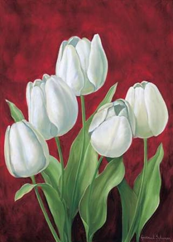 Tulips on burdundy II Poster Print by Gertrud Schweser - Item # VARPDXMLV261