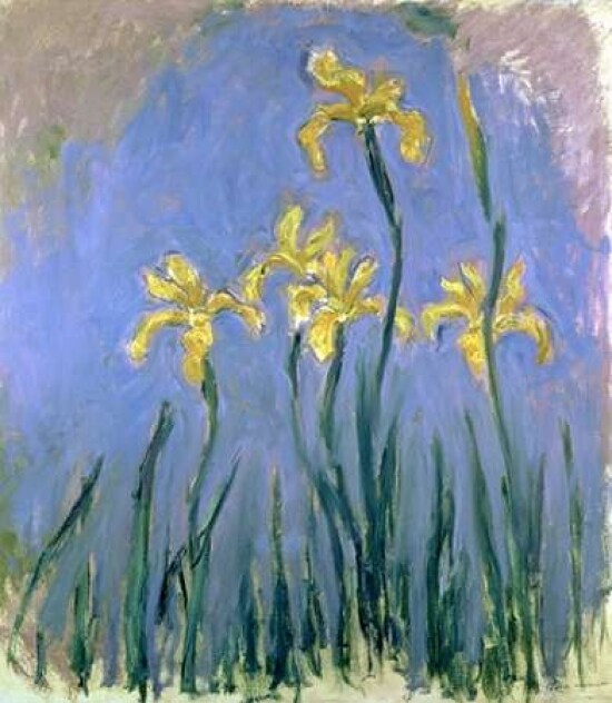 Yellow Irises Poster Print by  Claude Monet - Item # VARPDX265259
