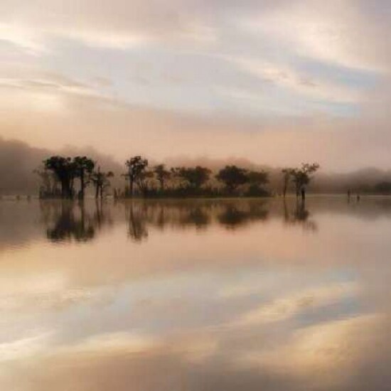 Dawn Mist on the Amazon Poster Print by Andy Mumford - Item # VARPDXM997D