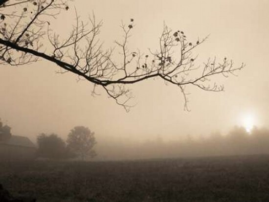 Parish Hill Sunrise Poster Print by Christine Triebert - Item # VARPDXT314D