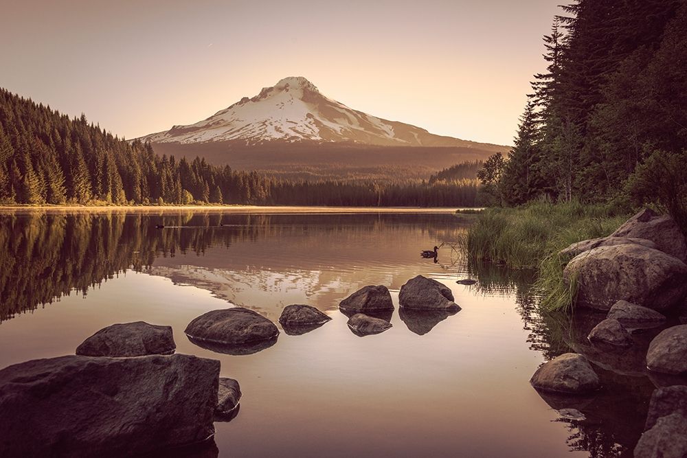 Mountain Forest Lake Sunrise Poster Print by Nature Magick Nature Magick # GI445A
