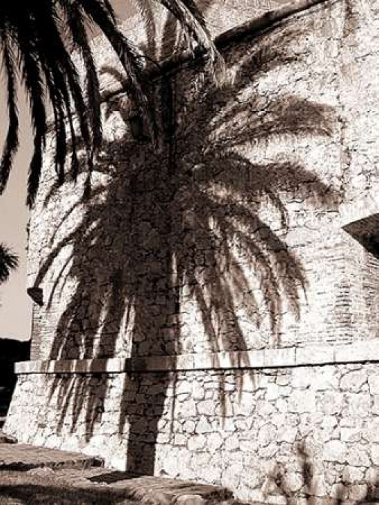 Palm Shadow, Antibes Poster Print by  Cyril Blue - Item # VARPDXSLP13