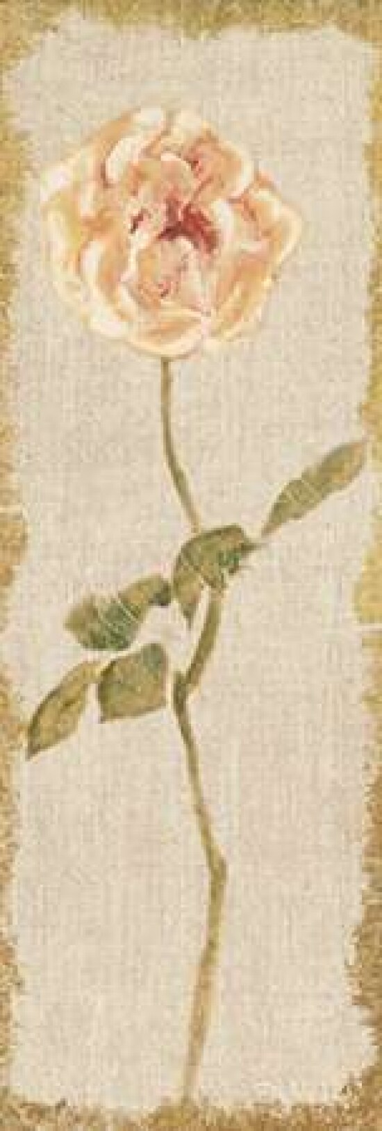 Pale Rose Panel on White Vintage Poster Print by Cheri Blum - Item # VARPDX24615