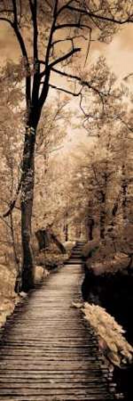 A Quiet Stroll I Poster Print by Ily Szilagyi - Item # VARPDXSIP227