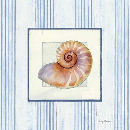 Sanibel Shell III Poster Print by Avery Tillmon - Item # VARPDX8914