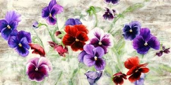 Field of Pansies Poster Print by Jenny Thomlinson - Item # VARPDX2JT2528