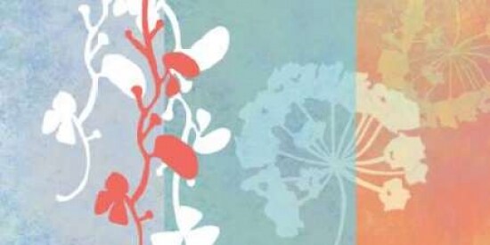 Coral Flowers Poster Print by Jan Weiss - Item # VARPDXW527D