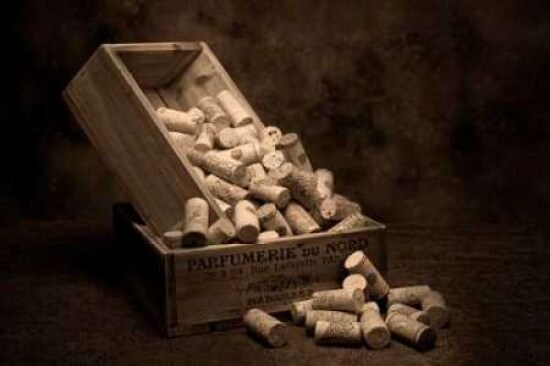 Wine Corks Still Life I Poster Print by C. Thomas McNemar - Item # VARPDXPSMNR136