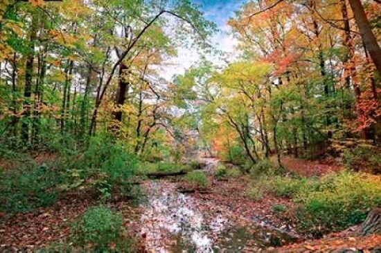 Autumn at Hopkins Pond Poster Print by John Rivera - Item # VARPDXR1033D