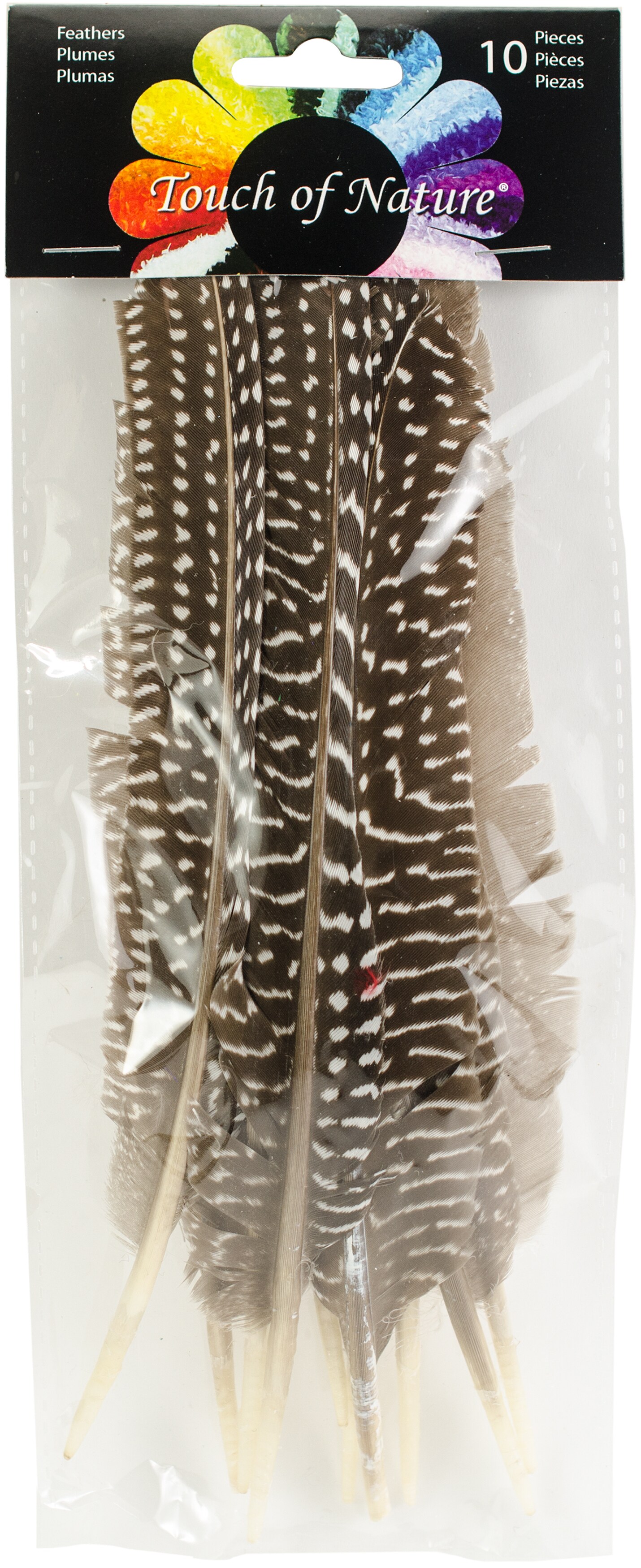 Touch Of Nature Goose Fowl Wing Quill Feathers 10/Pkg-Natural