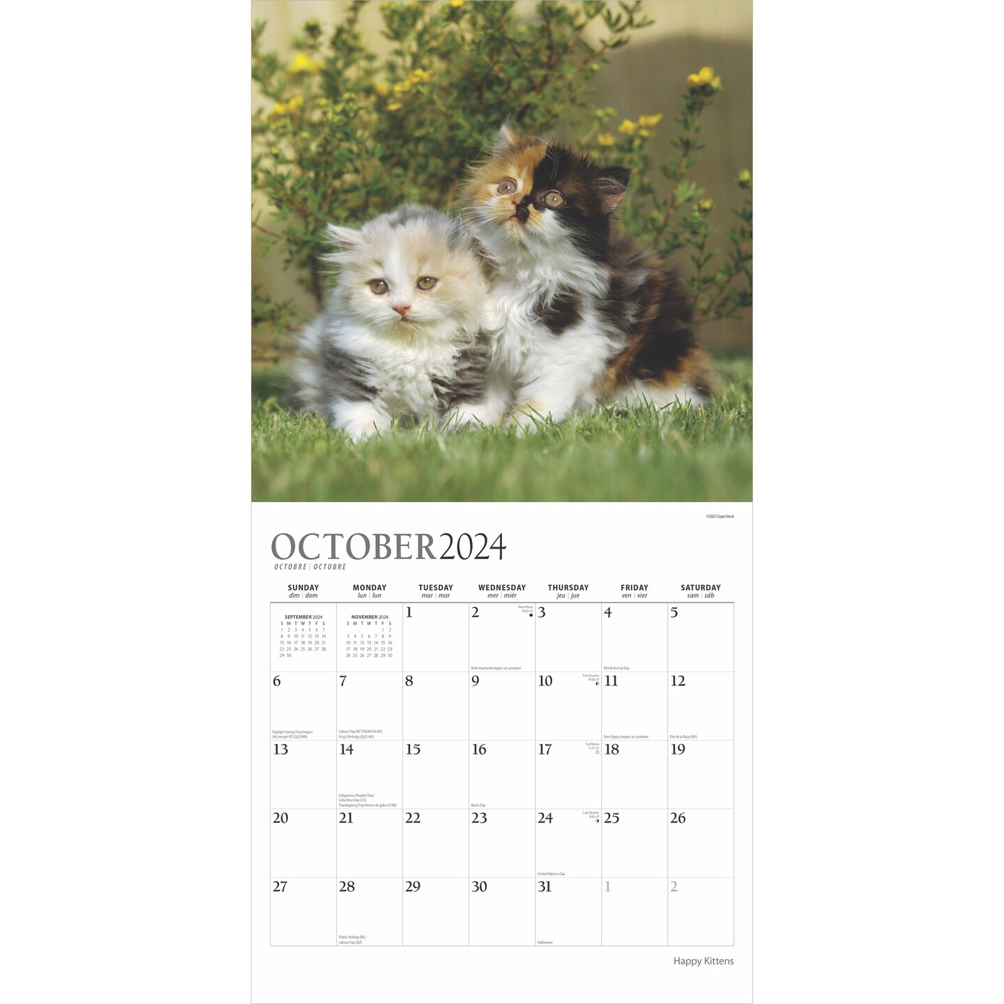 Happy Kittens | 2025 12 x 24 Inch 18 Months Monthly Square Wall Calendar | July 2024 - December 2025 | Plastic-Free | Plato | Animals Cats Feline