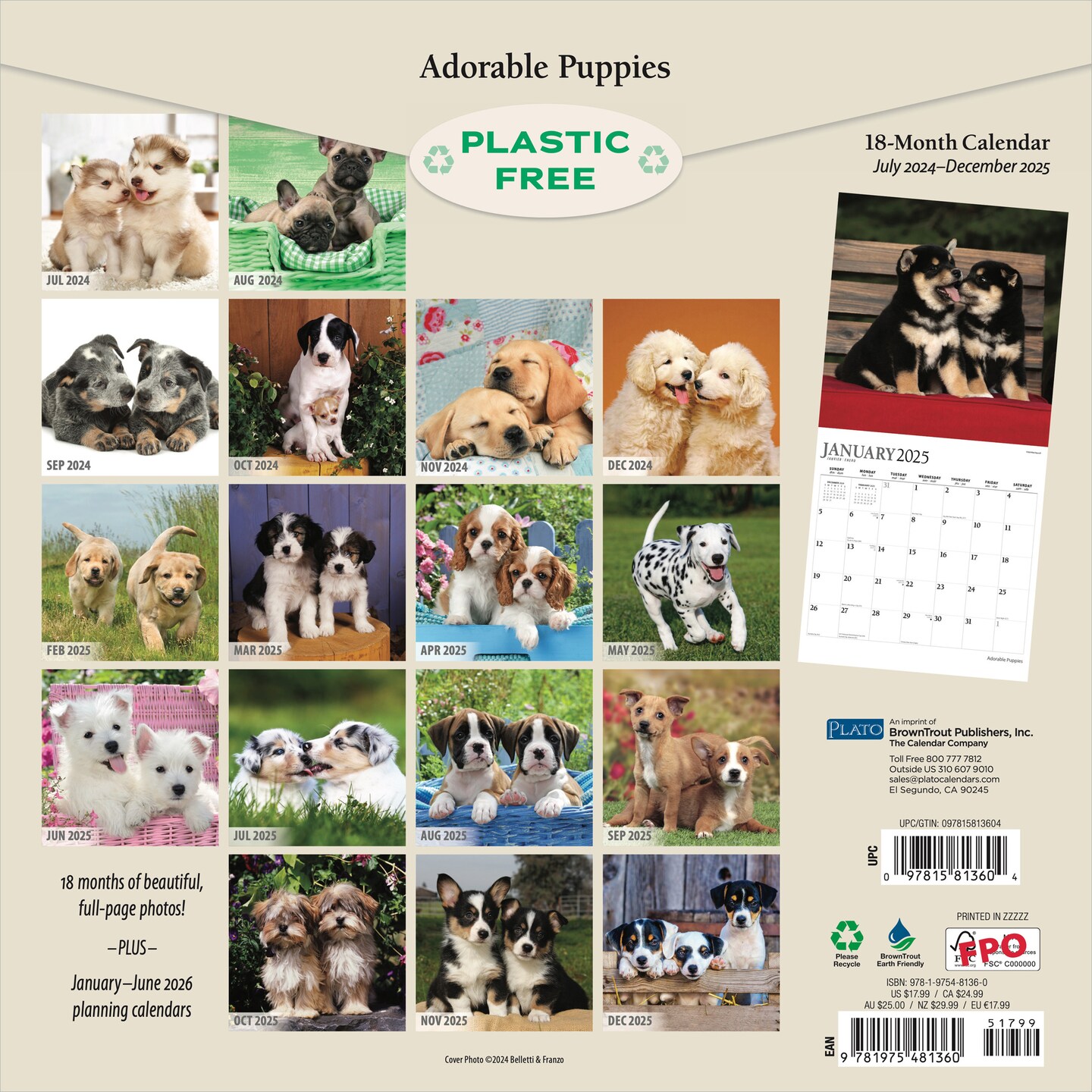 Adorable Puppies | 2025 12 x 24 Inch 18 Months Monthly Square Wall Calendar | July 2024 - December 2025 | Plastic-Free | Plato | Animals Dog Breeds Pets