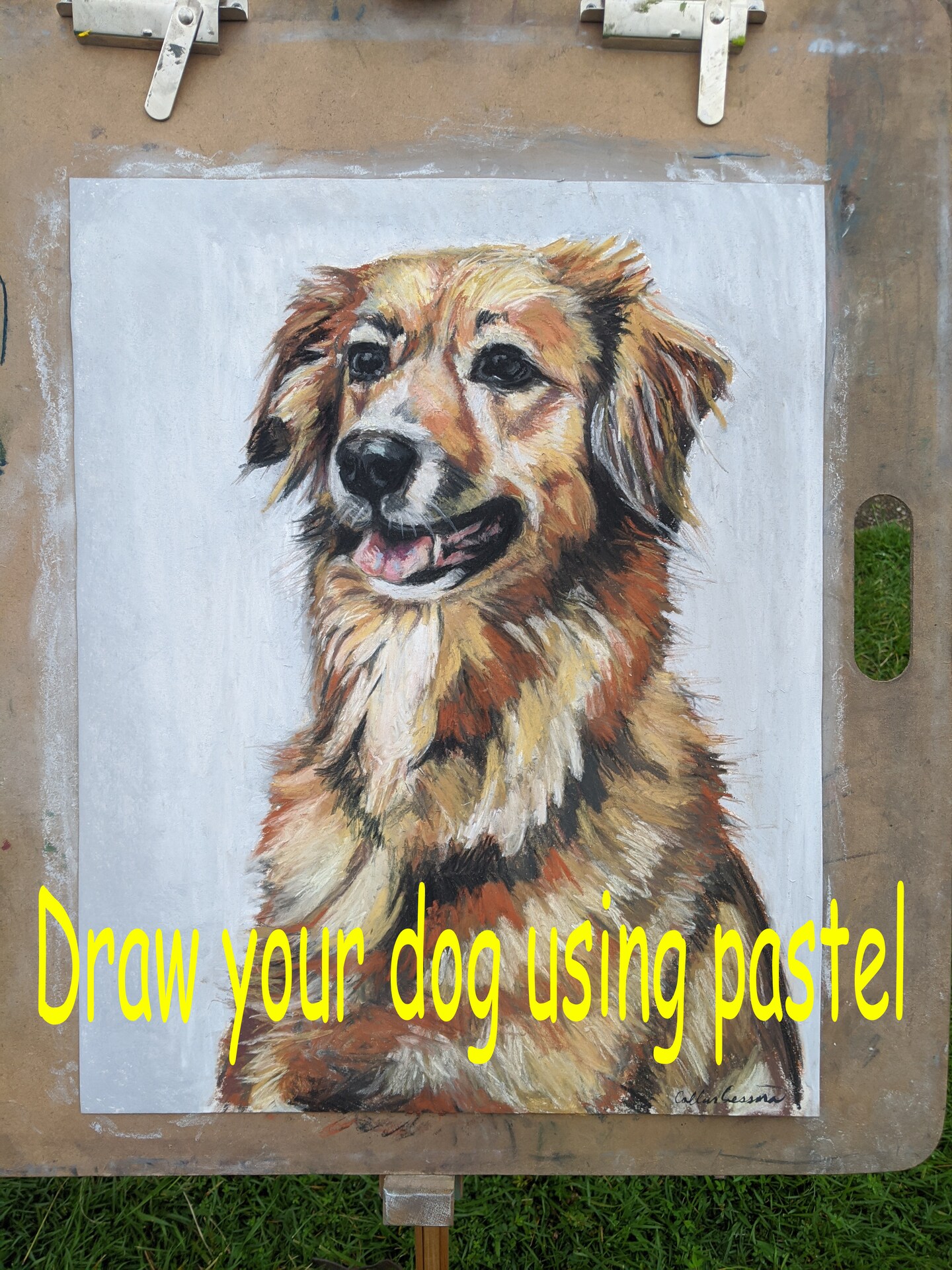 How to draw your pet using prismacolor nupastels