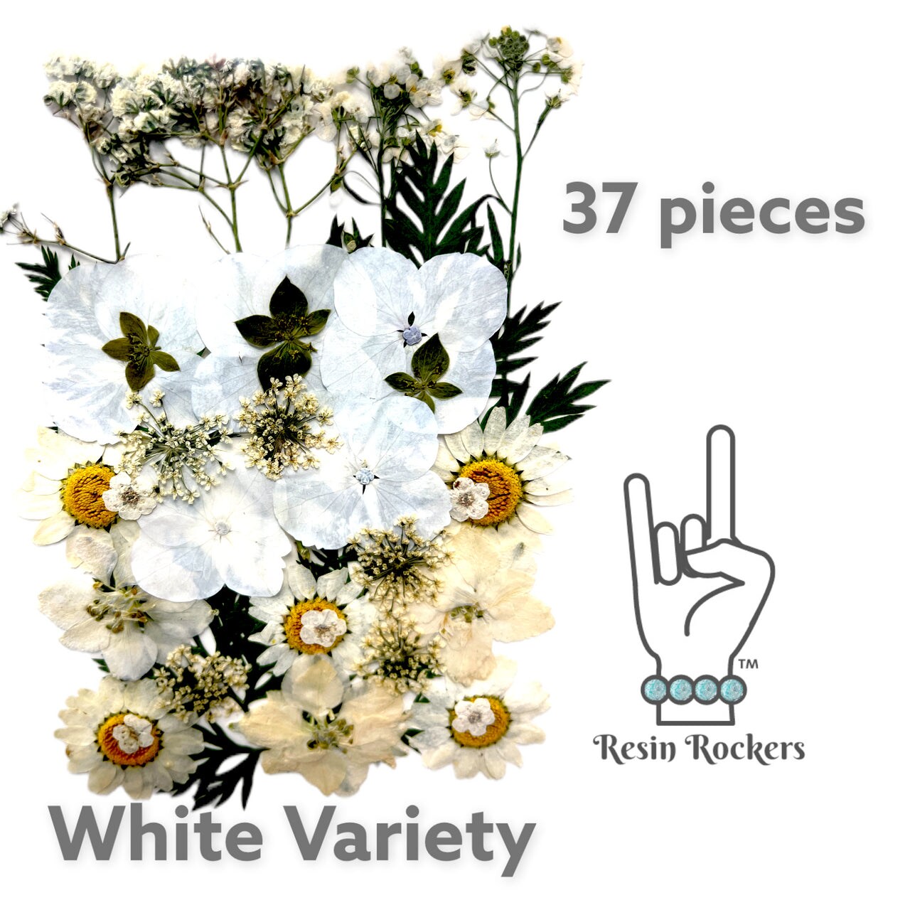 37 Piece White Variety Dried Pressed Real Natural Flowers For Epoxy & UV Resin Art Michaels
