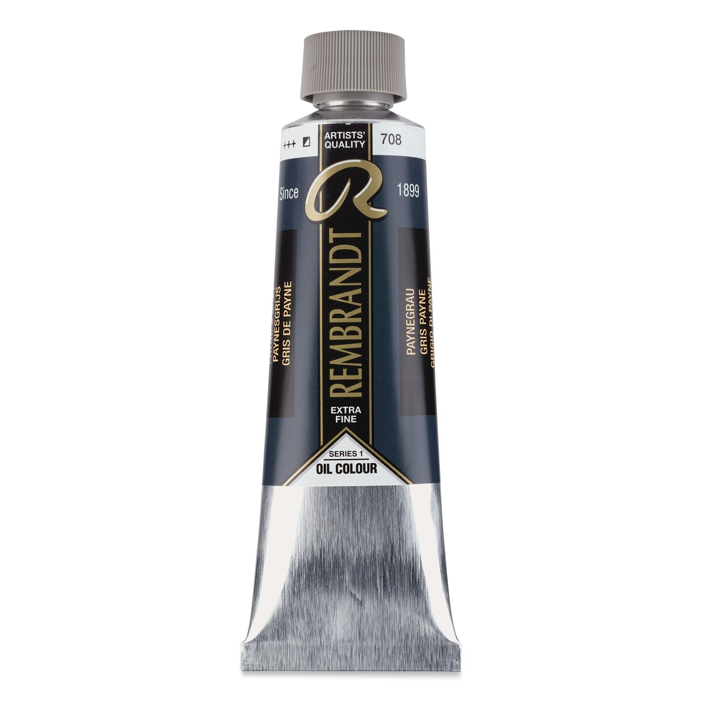 Rembrandt Artists' Oil Color - Payne's Gray, 150 ml tube | Michaels