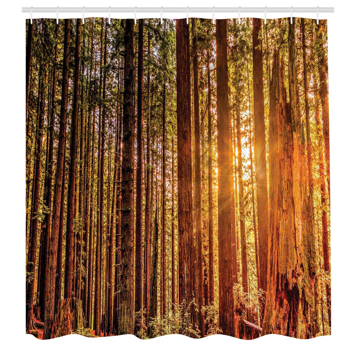 Ambesonne United States Shower Curtain, Tall Trees Red Woods Forest Humboldt California Sequoia Picture, Cloth Fabric Bathroom Decor Set with Hooks, 69&#x22; W x 75&#x22; L, Orange Dark Brown Green