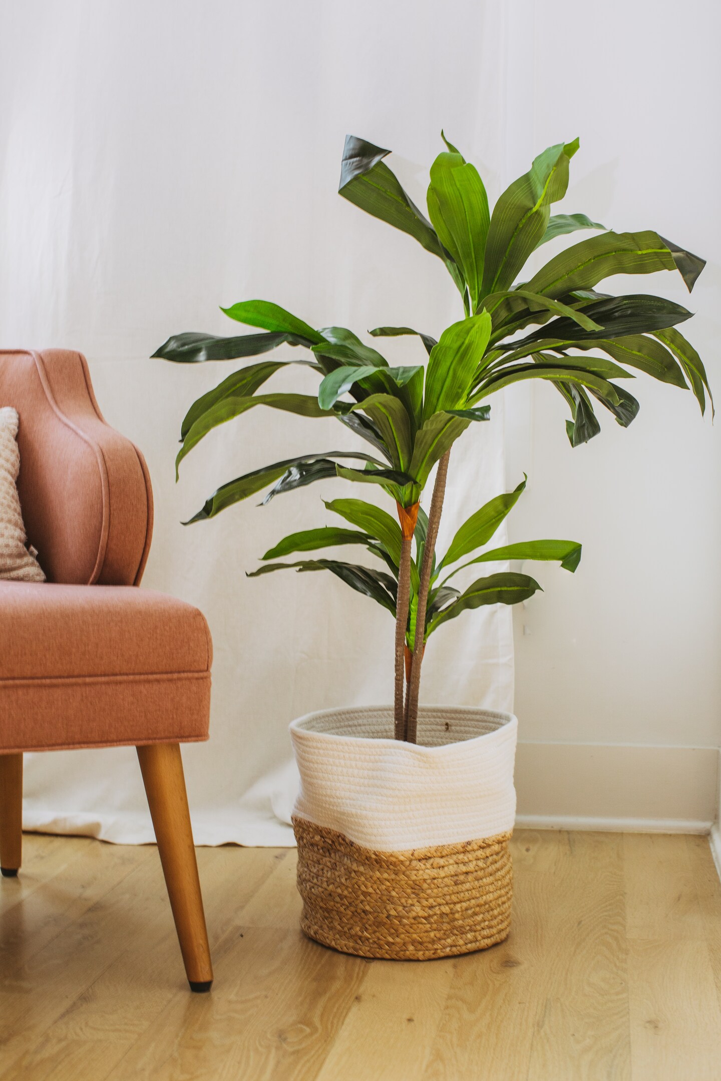 Dracaena Indoor Faux Plant Faux Plants Indoor, Artificial Plants for