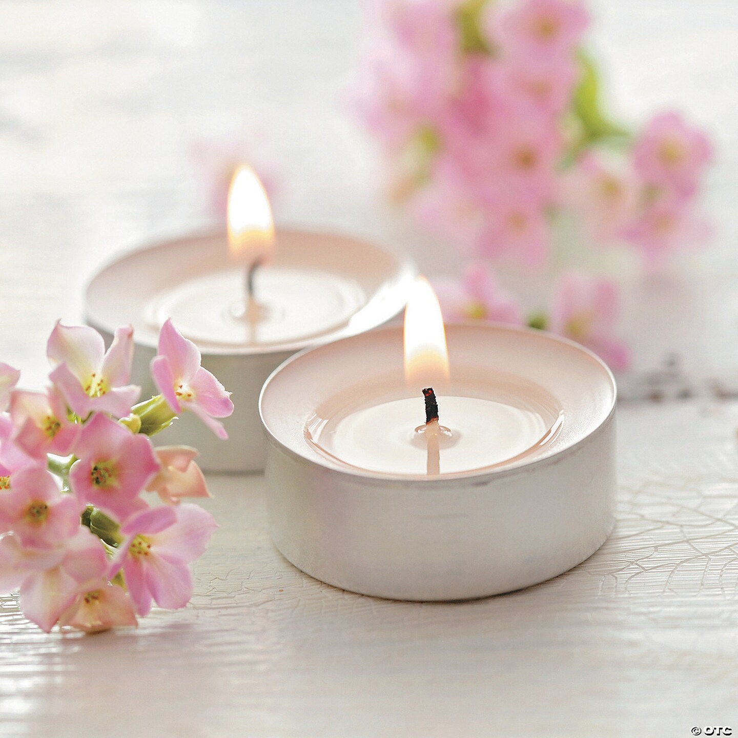 White Tea Light Candles - 50 Pc.