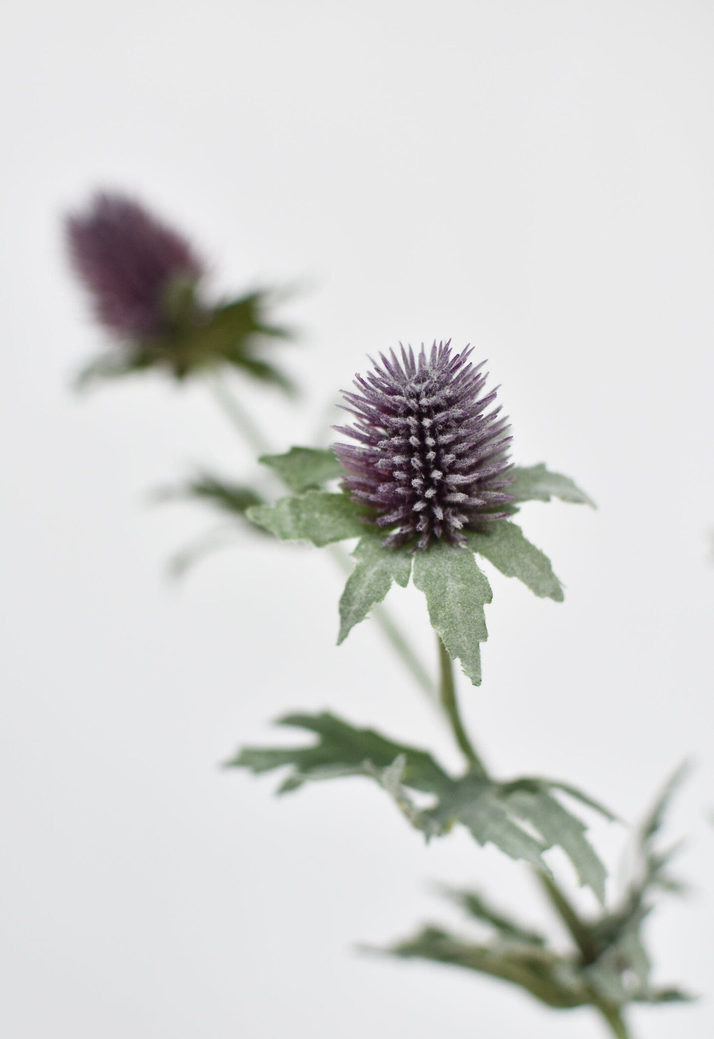 31&#x22; Faux Lavender Thistle Stem