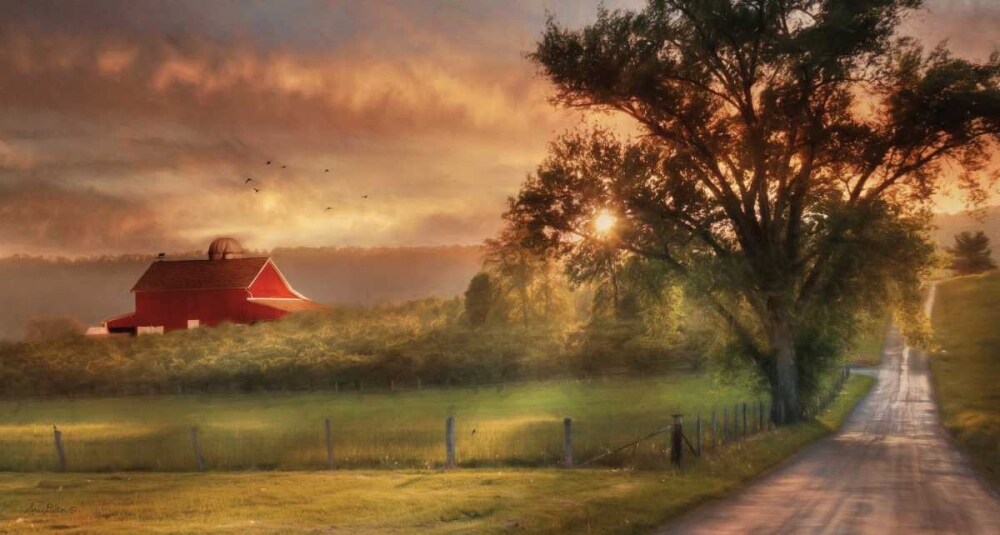 Country Lane Sunset Poster Print by Lori Deiter - Item # VARPDXLD538A