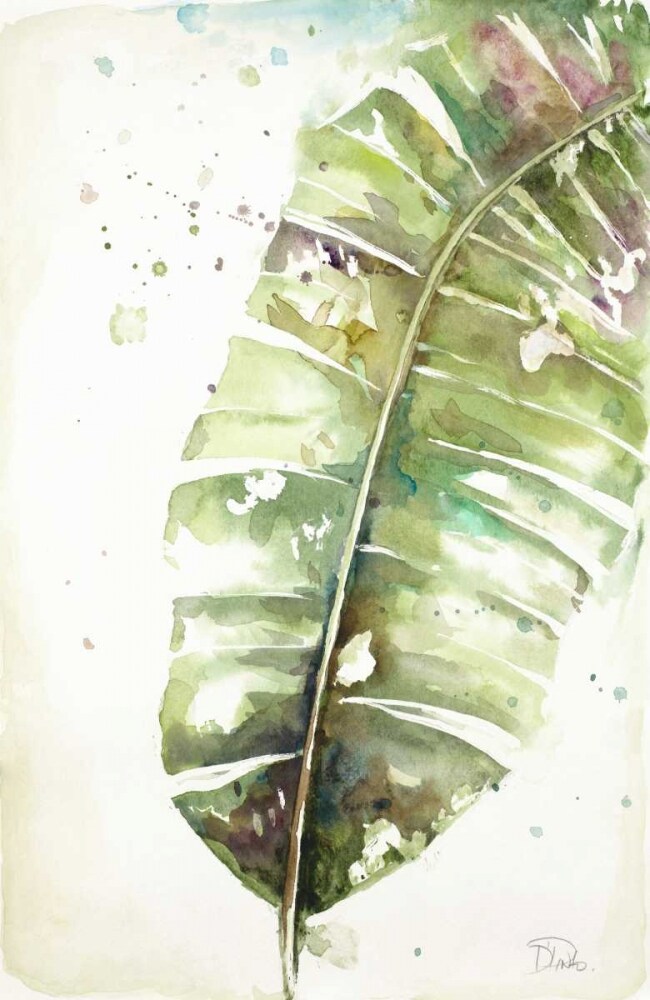 Watercolor Plantain Leaves II Poster Print by Patricia Pinto - Item # VARPDX11741