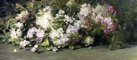 Mountain Laurel Poster Print by Adelaide Coburne Palmer - Item # VARPDX279313