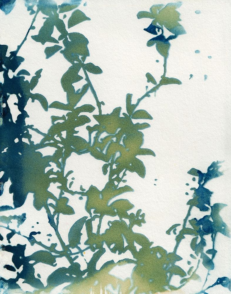 Shadow Floral Poster Print by Krista McCurdy - Item # VARPDXM1674D