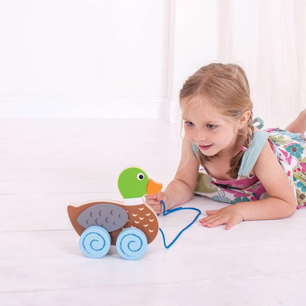 Duck Pull Along