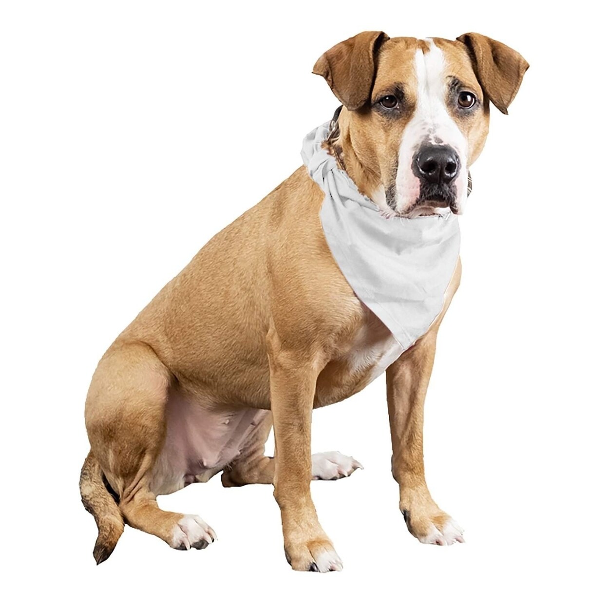 Balec 6 Pcs Cotton Dog Bandanas Triangle Large Size Pets Multi Color 40X26x26