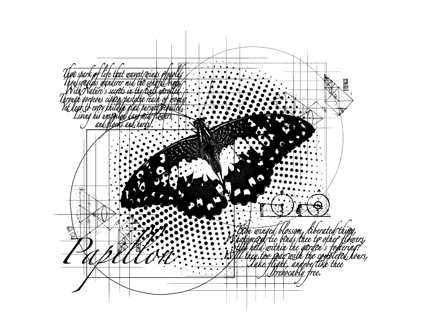 Creative Expressions  Andy Skinner Papillon Dreams  4.6 in x 4.0 in Rubber Stamp