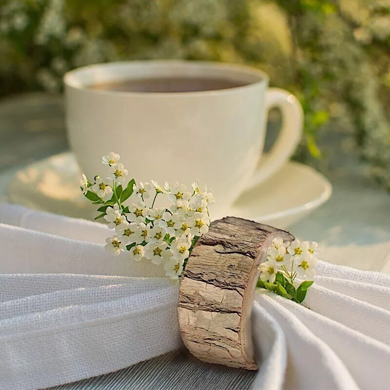 4-Pieces Birch Wood Slices Napkin Rings