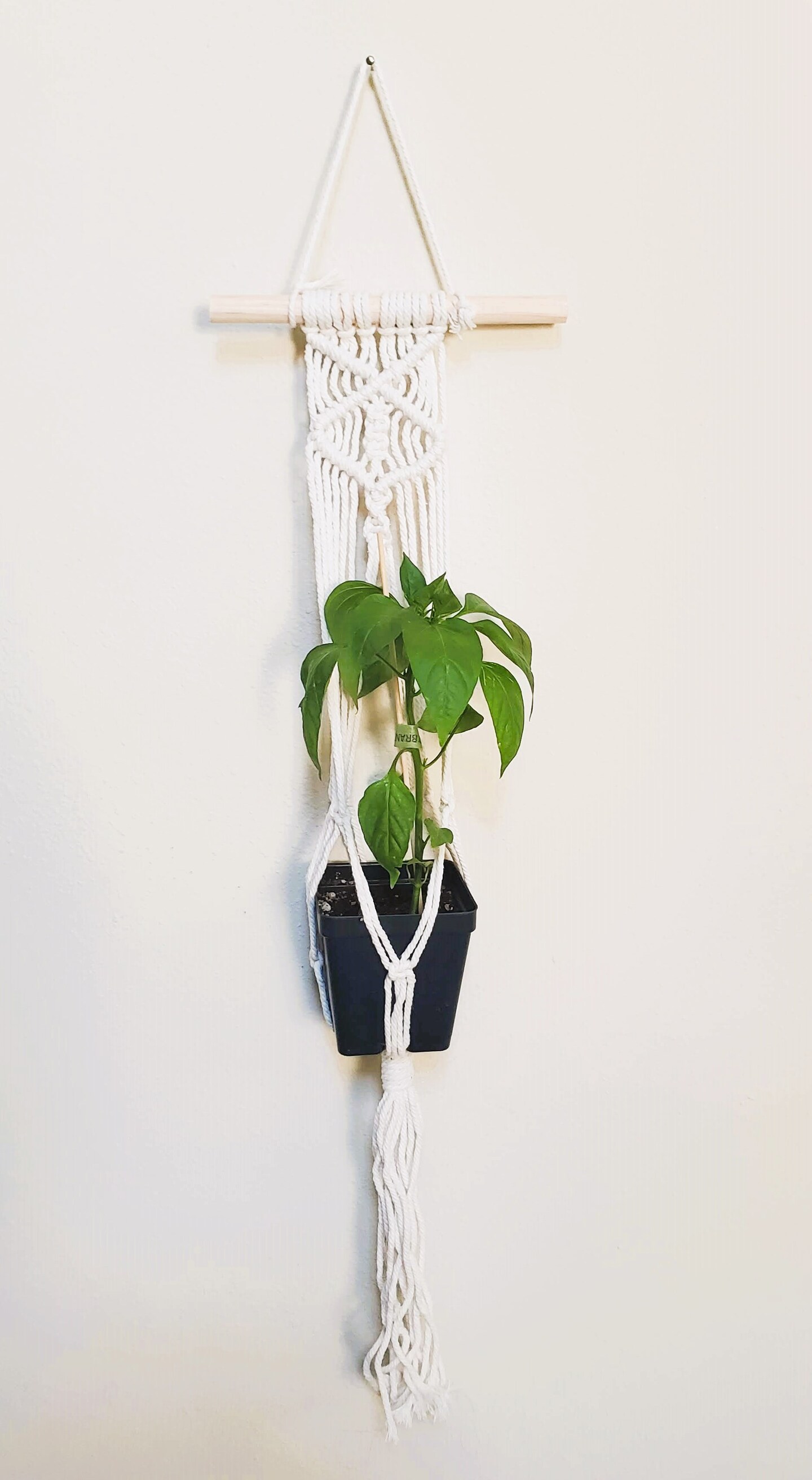 White Macrame Plant Hanger | MakerPlace by Michaels