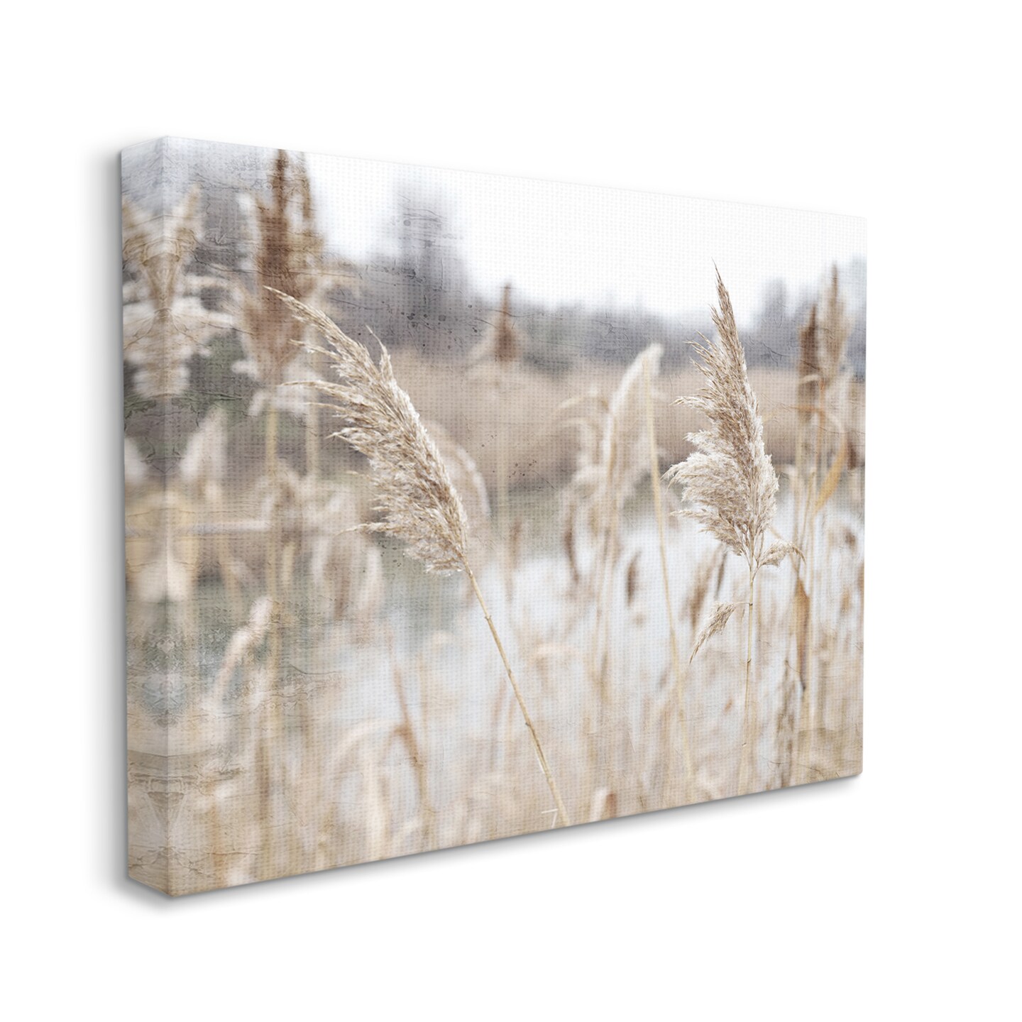 Stupell Industries Pampas Grass Reeds Lakeside Canvas Wall Art