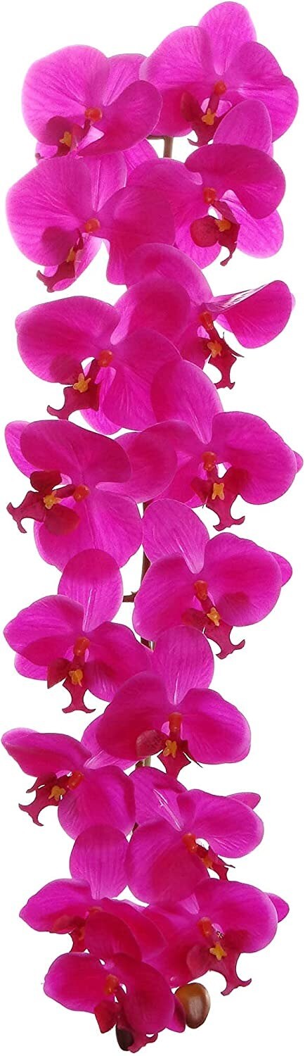 Artificial Orchids Real Touch Phalaenopsis Flowers - Lifelike and Elegant Decoration
