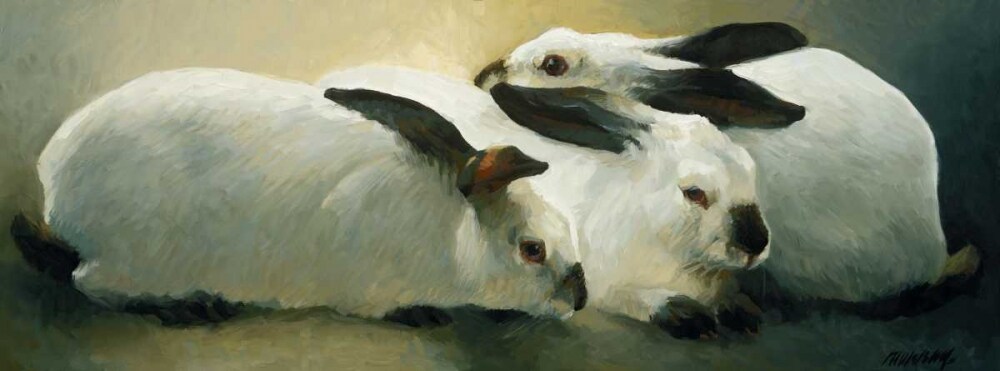 Californian Rabbits Poster Print by Richard Murray - Item # VARPDXRM101B
