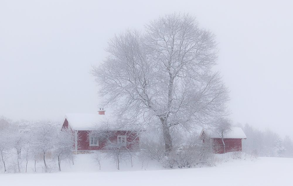 Winter idyll Poster Print by Allan Wallberg # 48477