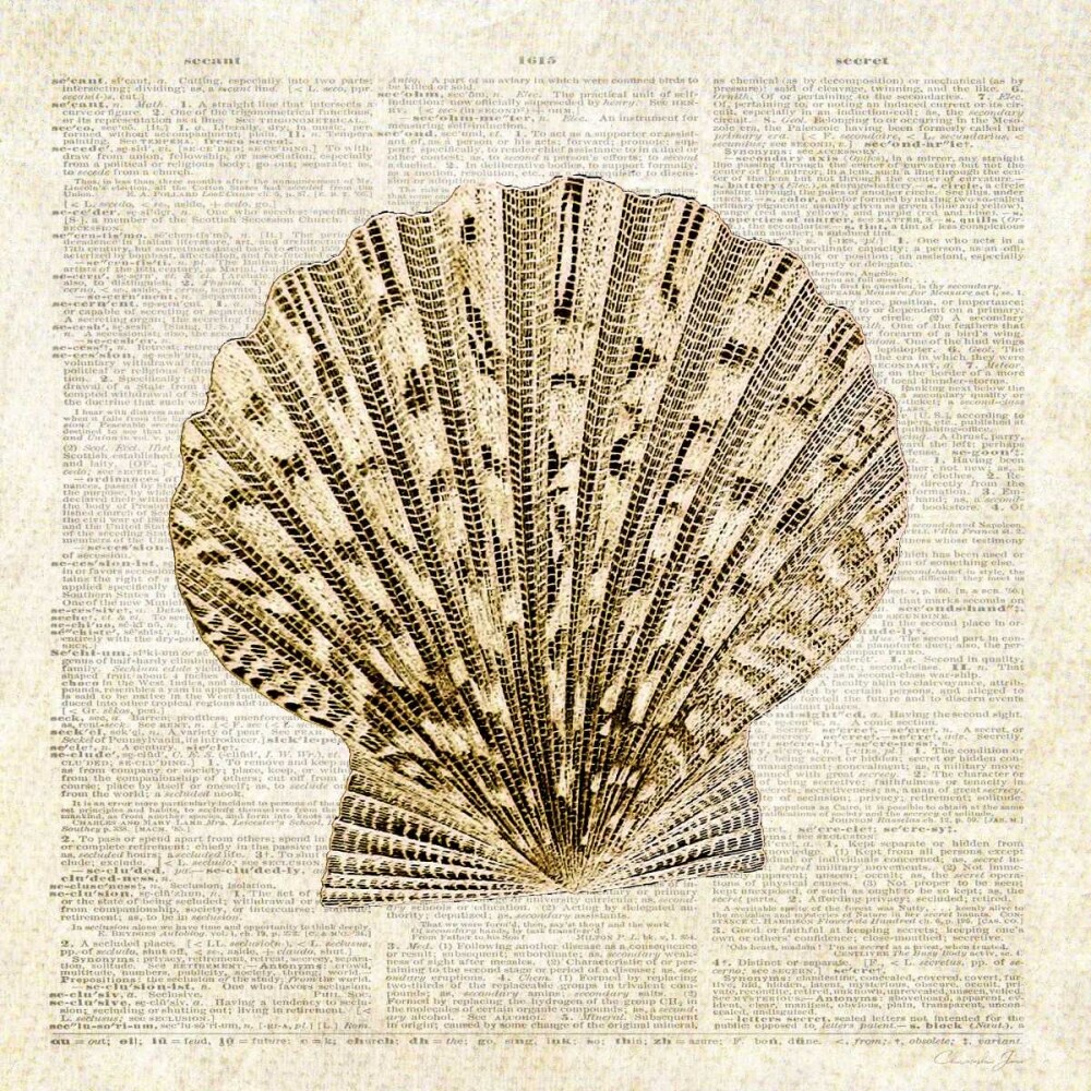 Scallop Shell Pages Poster Print by Christopher James - Item # VARPDX502JAM1239