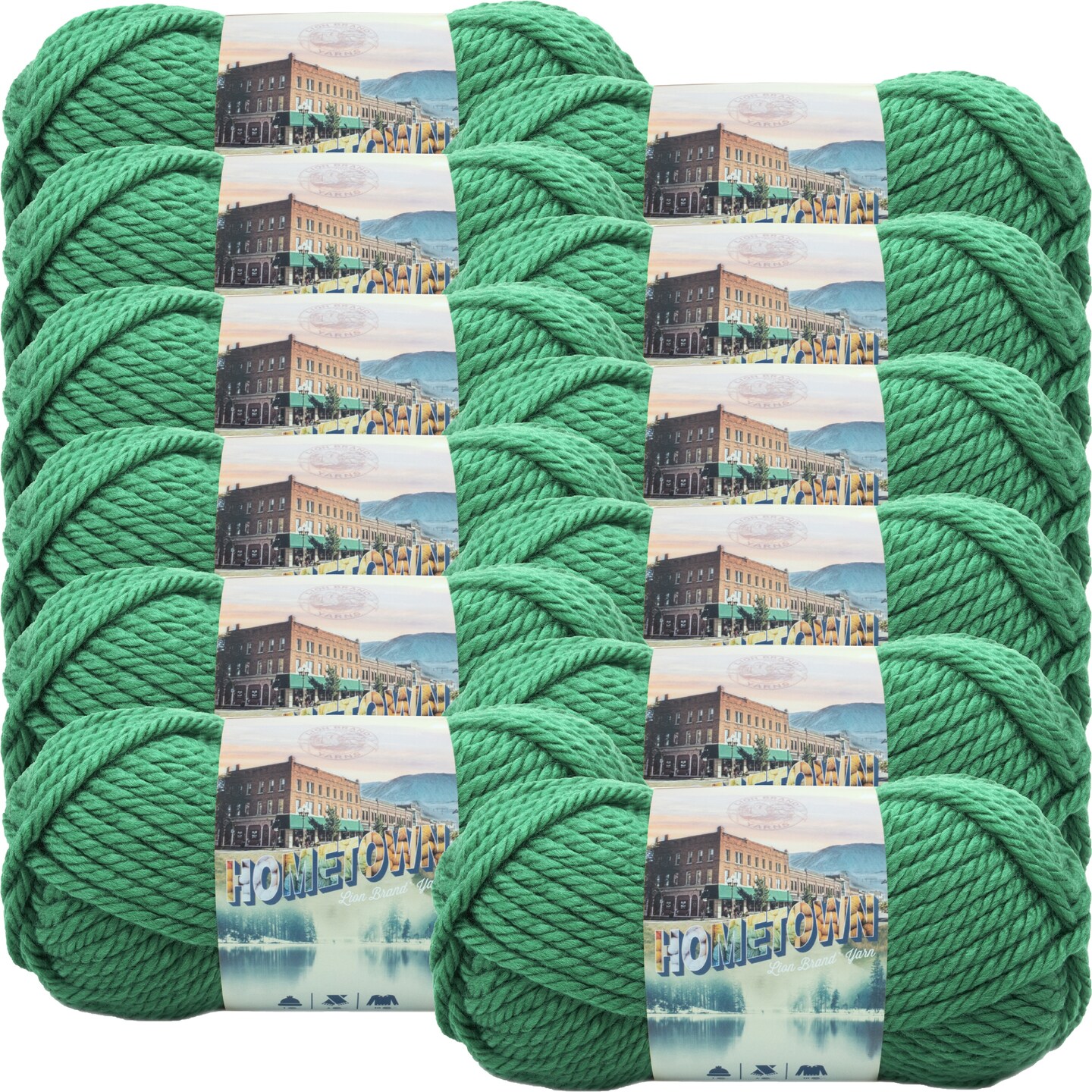 (12 Pack) Lion Brand Yarn Hometown Yarn, Green Bay Green