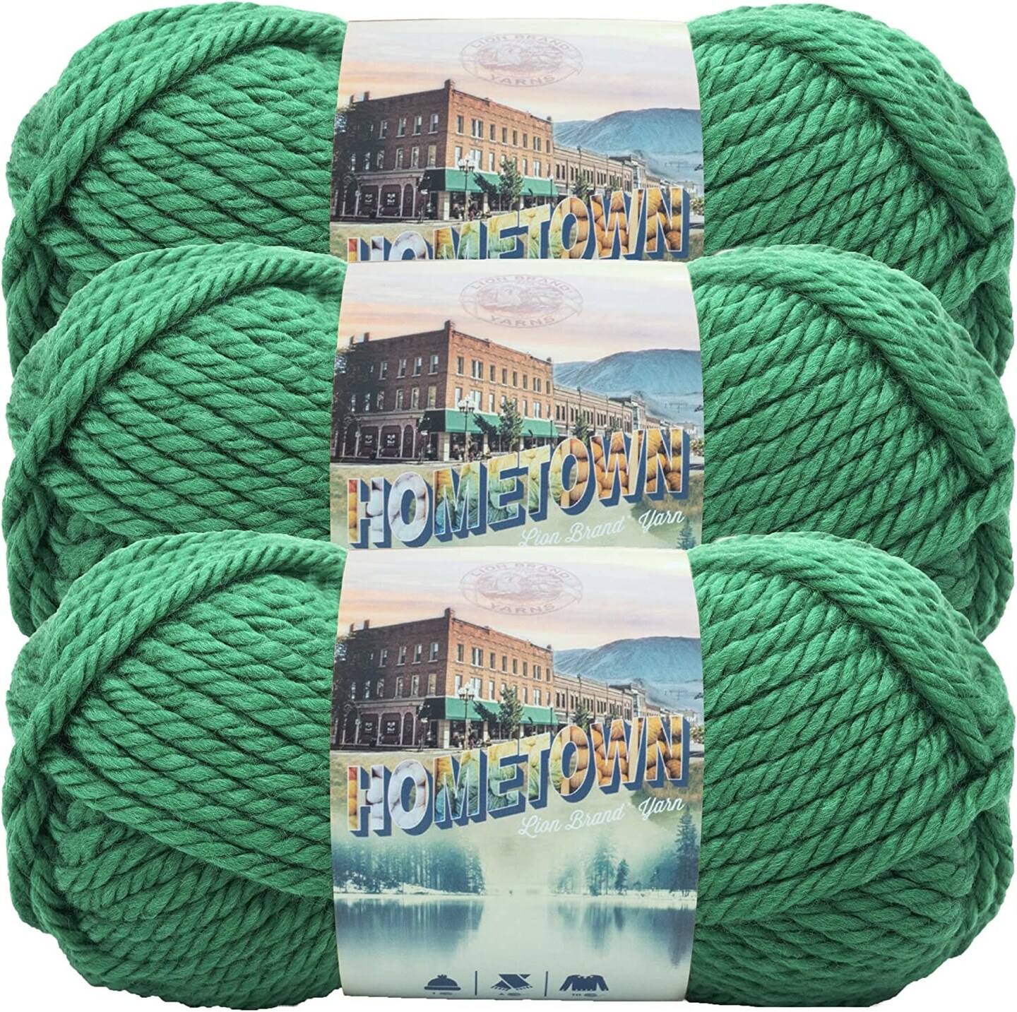 (Pack of 3) Lion Brand Hometown Yarn-Green Bay Green