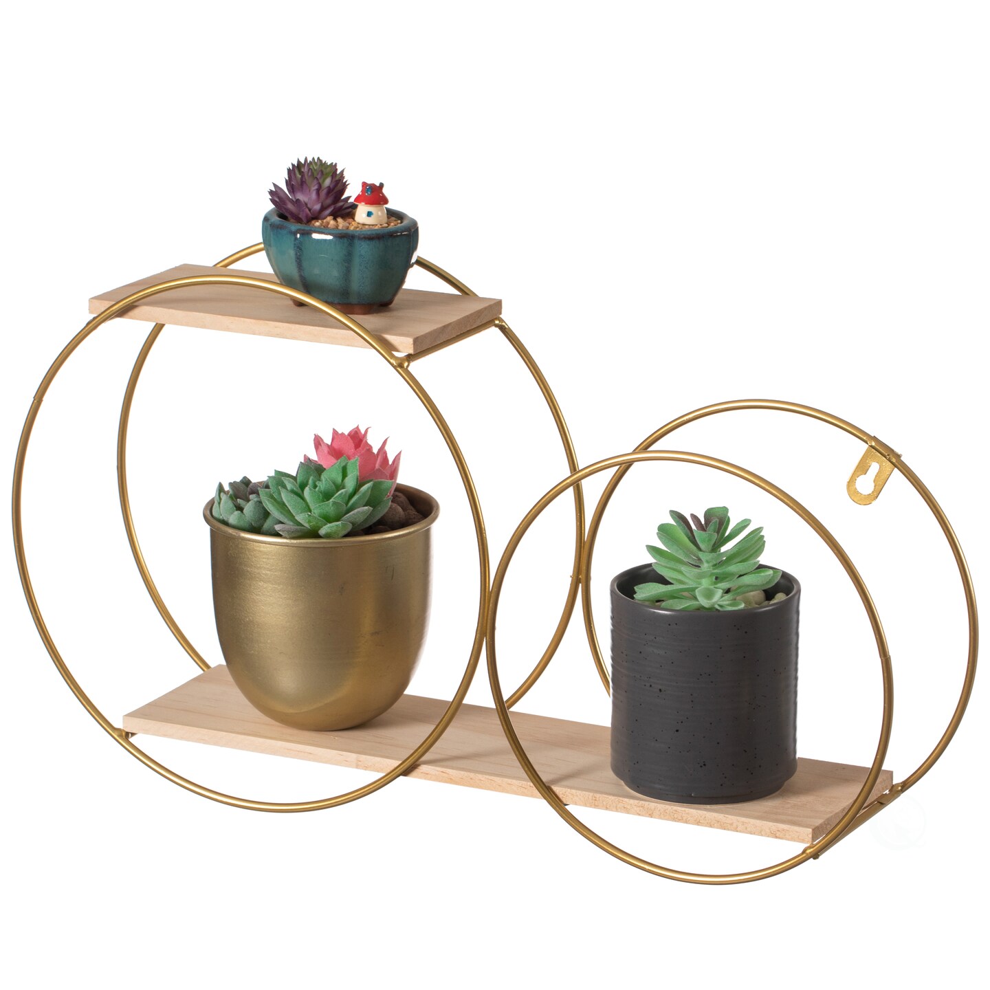 Tiered Decorative Modern Round Accent Floating Shelf Circle Decor Display Wall Mounted Shelf with Metal Frame and Pine Wood Shelves, Gold