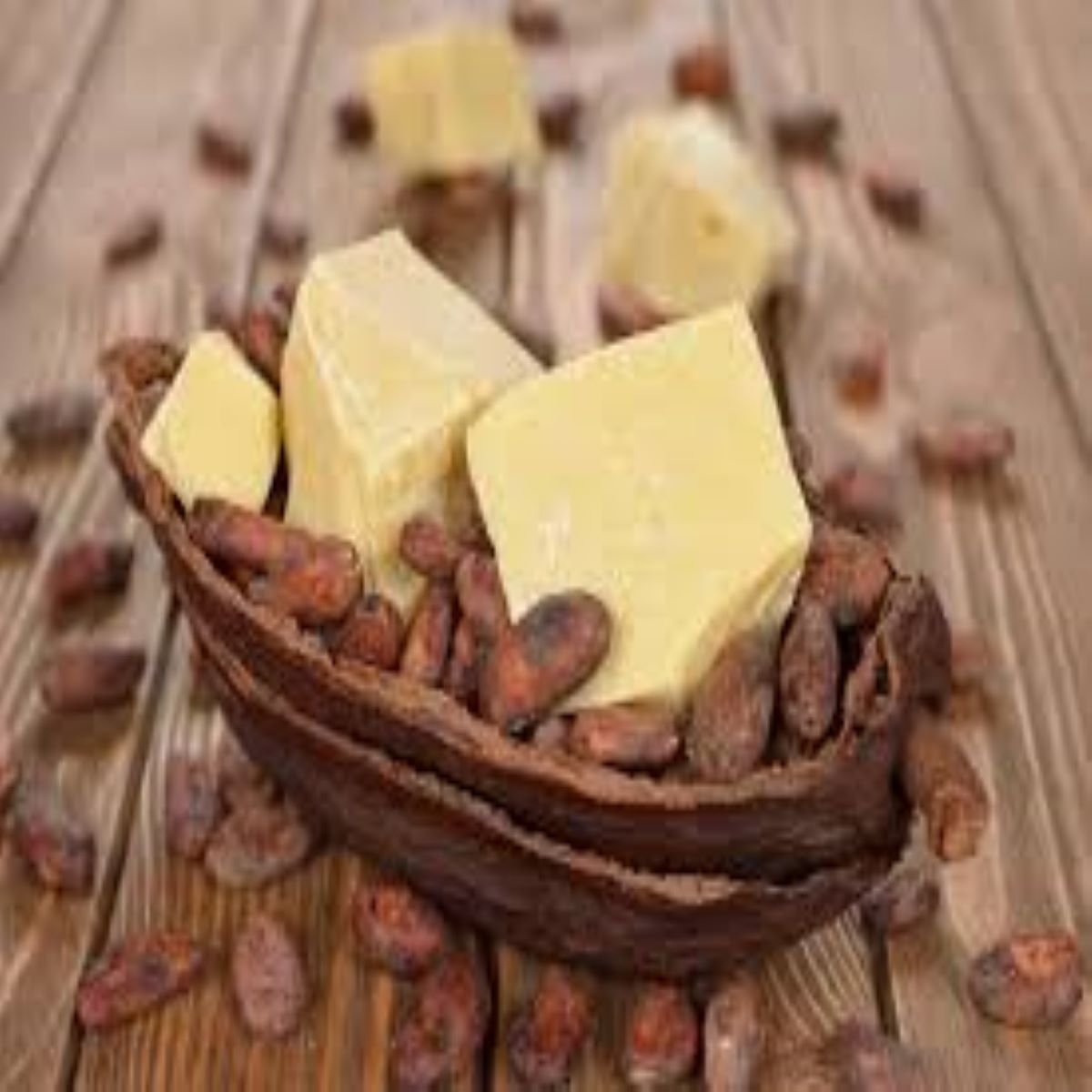 Cocoa Butter Cashmere Fragrance Oil (Our Version of the Brand Name) (64 oz Jug) for Candle Making, Soap Making, Tart Making, Room Sprays, Lotions, Car Fresheners, Slime, Bath Bombs, Warmers&#x2026;