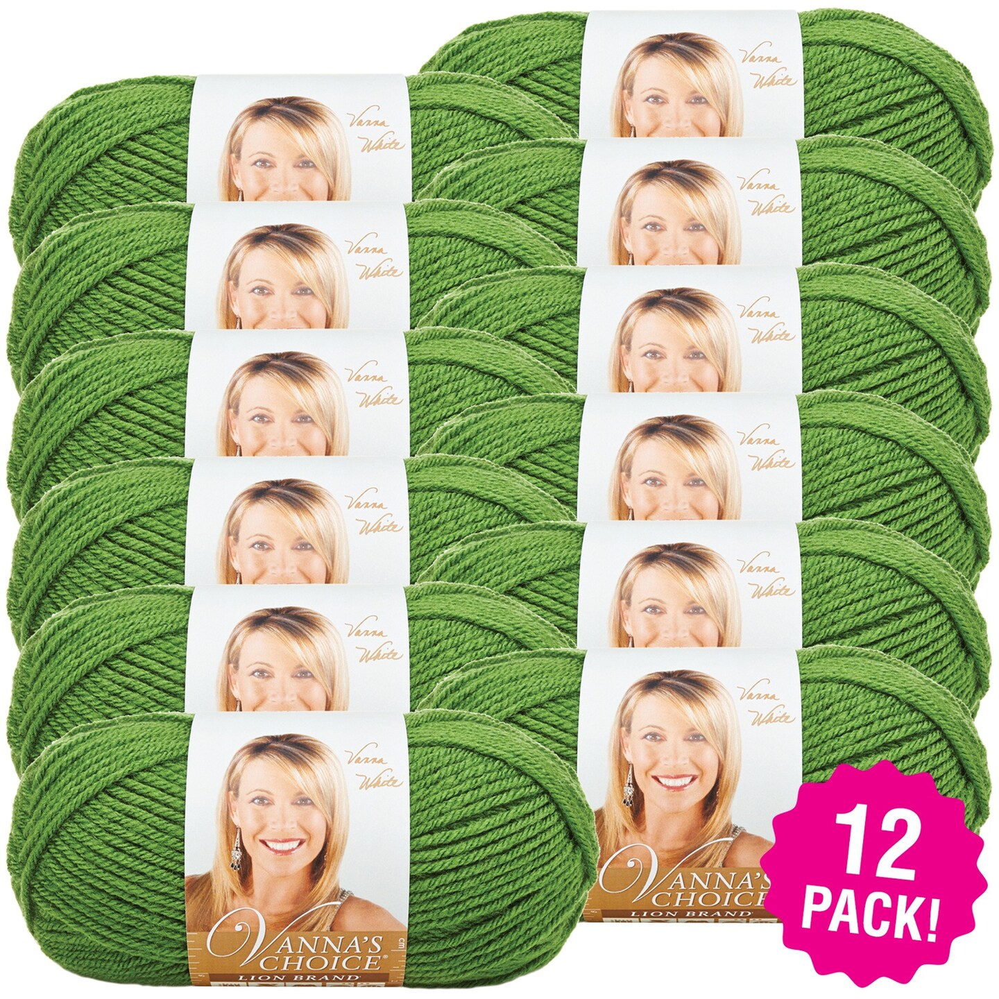 (12 Pack) Lion Brand Vanna&#x27;s Choice Yarn - Kelly Green