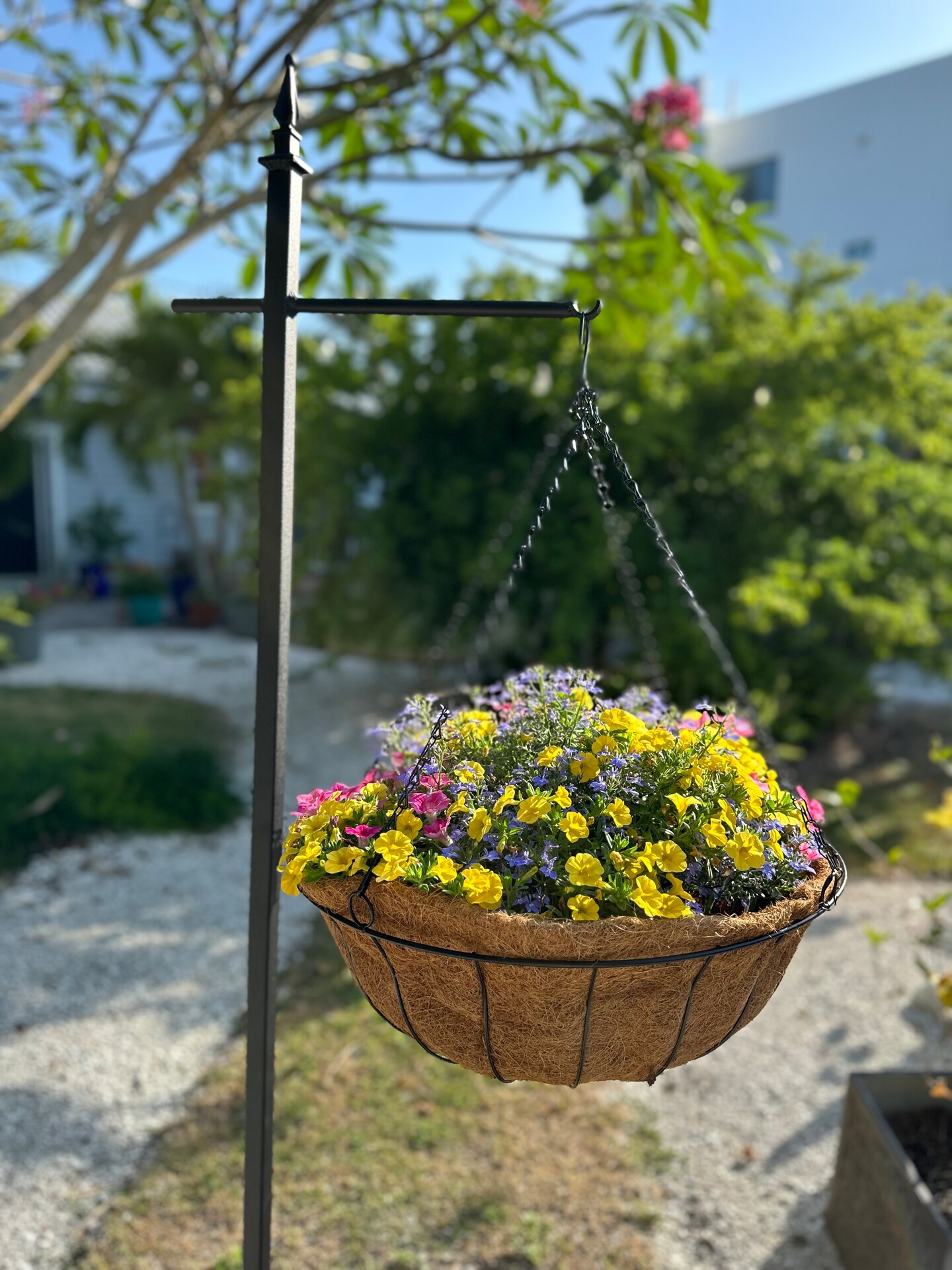 French Quarter Metal Hanging Plant Hook, 60” high Shepherd’s Hook