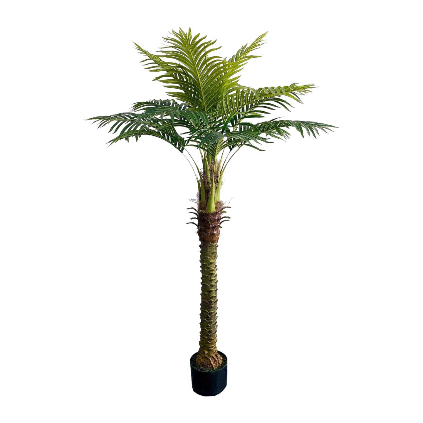 6ft Royal Palm Tree in Black Pot with Realistic Leaves by Floral Home&#xAE;