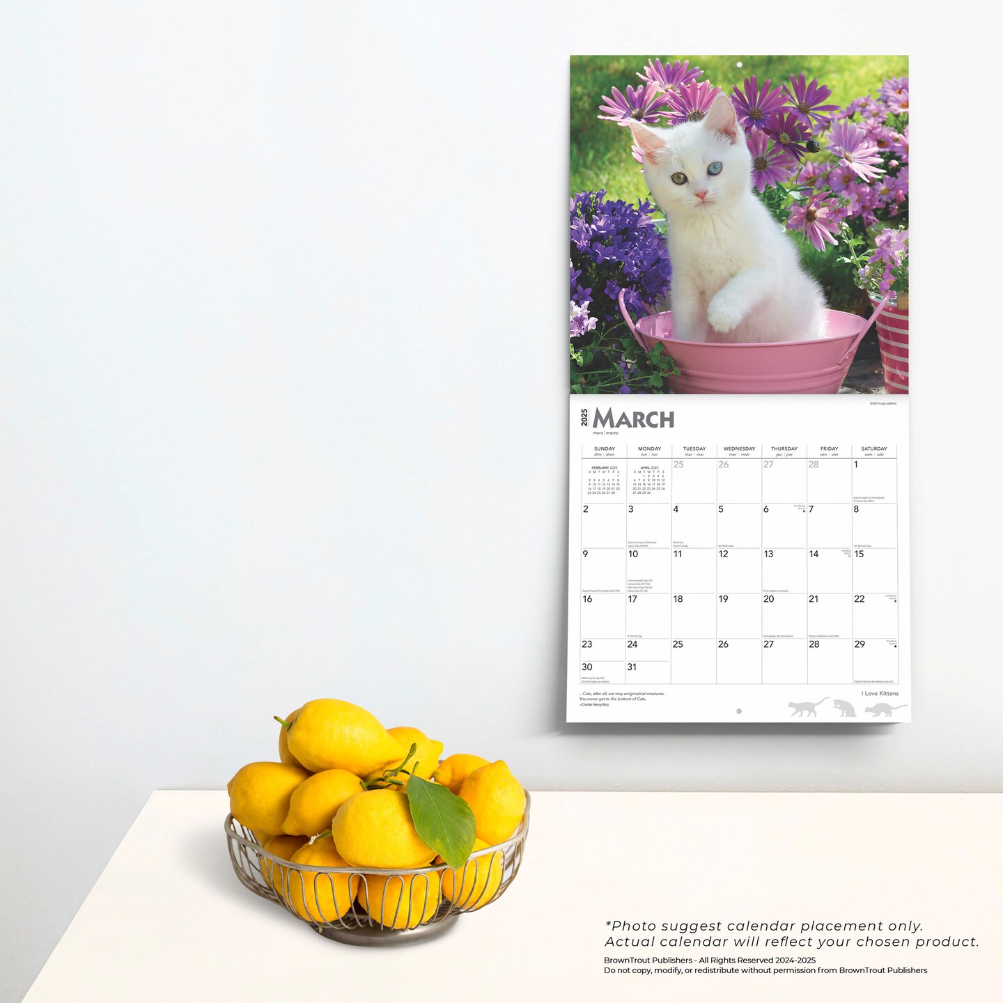 I Love Kittens | 2025 12 x 24 Inch Monthly Square Wall Calendar | Plastic-Free | BrownTrout | Animals Cats Feline