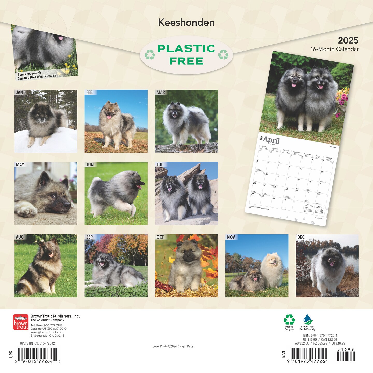 Keeshonden | 2025 12 x 24 Inch Monthly Square Wall Calendar | Plastic-Free | BrownTrout | Animals Dog Breeds
